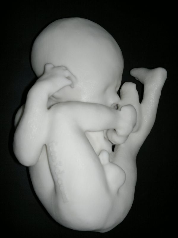 fetus-3d-print Velké zaujetí návštěvníků veletrhu 3D Printshow v Londýně nedávno vyvolal brazilský designér, který na 3D tiskárně vytváří modely lidských plodů podle dat získaných gynekology přes CT a ultrazvuk. Foto: Jorge Lopes Dos Santos