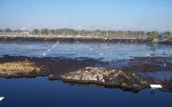 Zajištění laguny před ptactvem. Foto: Geosan Group